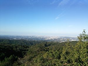 岩巣山散策